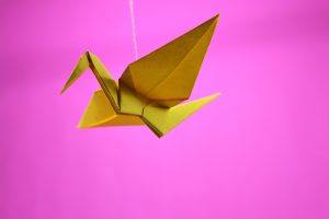 Learn origami and help the Concord Ambassadors to honor Asian American Heritage Month