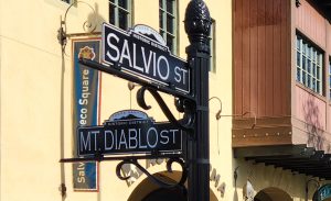 Music, crafts and beer at Salvio Street Market